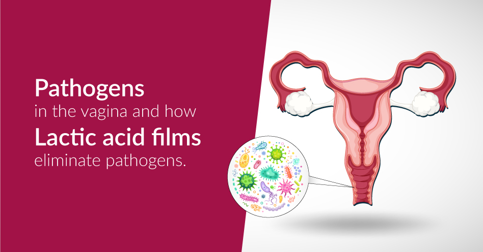 All you need to know about Pathogens in the vagina and impact of Lactic acid films for eliminating them