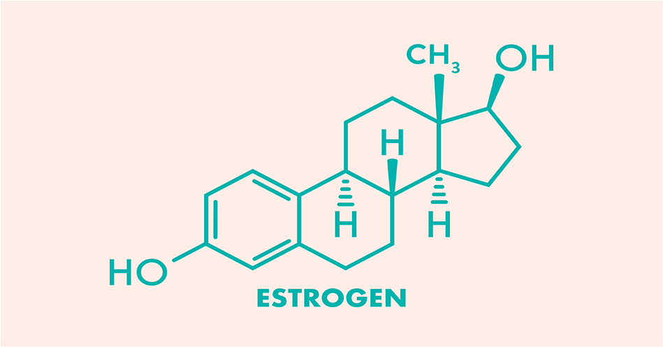 10 Things you didn’t know about Estrogen