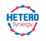 Synergy Division Logo